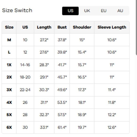 BloomChic Plus size 2XL Cotton V Neck Plain Basic T-shirt us18-20 - Picture 4 of 4